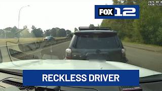 Deputies use ‘Grappler’ to stop reckless driver on SR 503 in Battle Ground