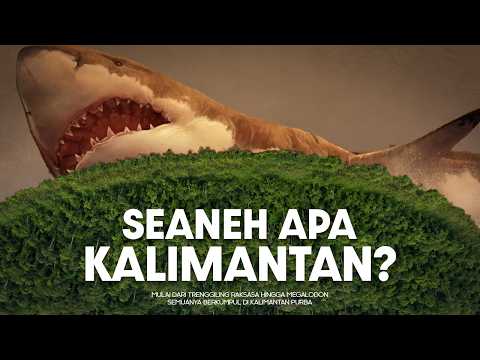 Bagaimana Kalimantan Purba Menyimpan Banyak Misteri? | #BelajarDuniaPurba