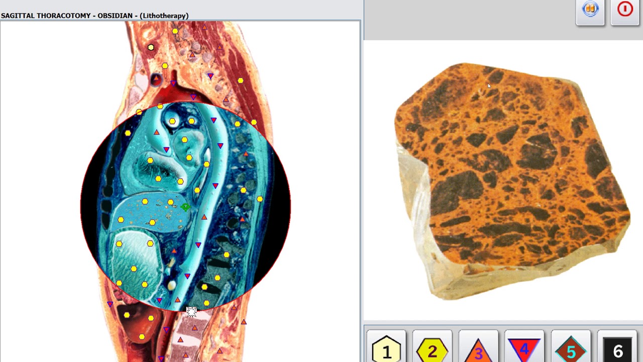 Metatron Hunter – Instrucțiuni de utilizare