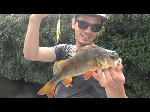 Topwater fishing for perch - Oppervlakte baars