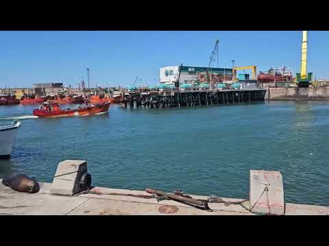 Puerto + Lobos Marinos: Mar Del Plata |Provincia de Buenos Aires| x2