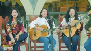 Download lagu Irmãs Freitas encantam com a música 'Me Leva' no programa Amigos do Teodoro e Sampaio mp3