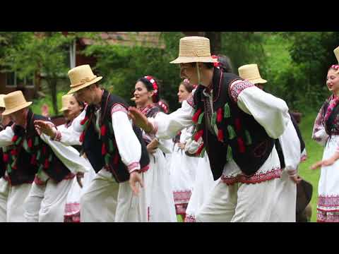 Ansamblul Folcloric "Doina Crisului" Brad - dans din zarand