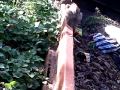 anak sma mesum di hutan - YouTube