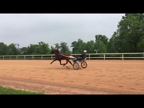 Fakir Merite à Grosbois avec Julien Raffestin