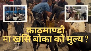 काठमाण्डौमा खसि बोका को मुल्य ? तपाई को तिर कति छ !!! #dashaintihar