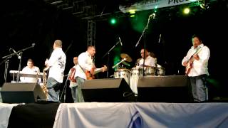 Tejano Breed UNA ALMOHADA CAMA