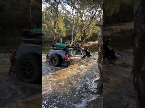 The prado doesn’t get the credit it deserves, what a beast! #prado #toyota #prado150 #offroad #4x4