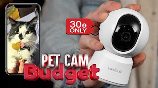 I Didn’t Expect THIS from a $30 Pet Camera… LAXIHUB P2T