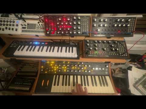Moog Subharmonicon 2020 - Present - Black Bild 7