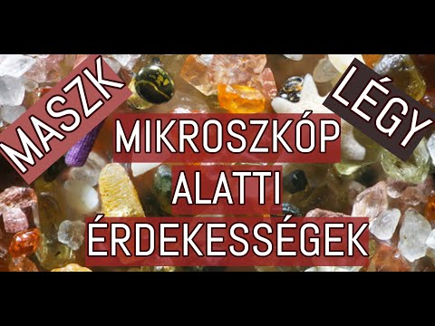 Paraziták kimutatásának elemzése