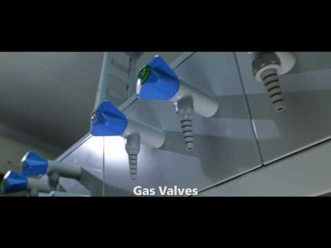 download lagu mp3 mp4 Waldner India, download lagu Waldner India gratis, unduh video klip Waldner India