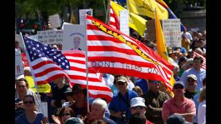 Magna Carta 800 Year Anniversary June 15, 2015