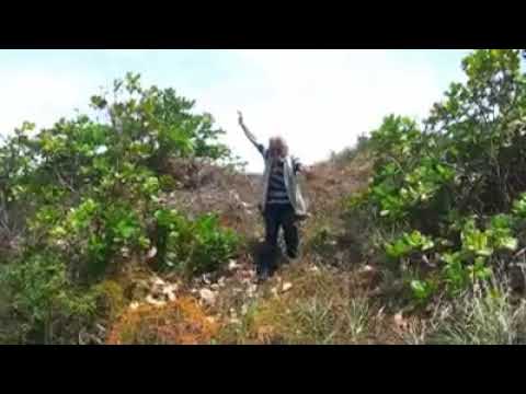 Reggae Recordação.