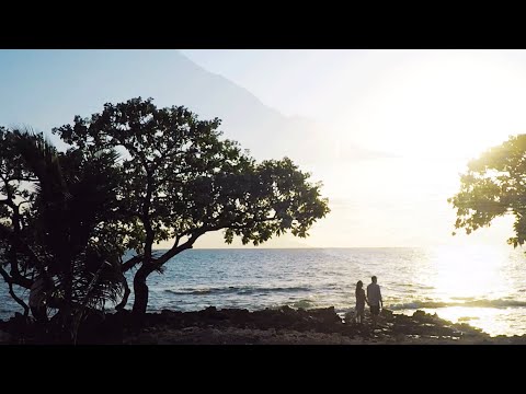 download lagu mp3 mp4 Muted Jade, download mp3 Muted Jade free downloadn, video klip Muted Jade