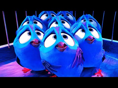 I'm Not A Pretty Bird Scene | RIO (2011) Movie CLIP HD