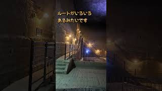 【Vlog夫婦旅行】TAOYA日光霧降【ショート4】＃大谷資料館＃TAOYA♯大江戸温泉物語＃夫婦旅行＃温泉＃栃木＃日光霧降