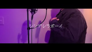 【切なくなり過ぎた】シンデレラボーイ/SaucyDog (Covered by MATARO)