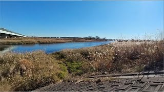 鬼怒川鬼怒橋付近の釣りの様子　2024年12月17日