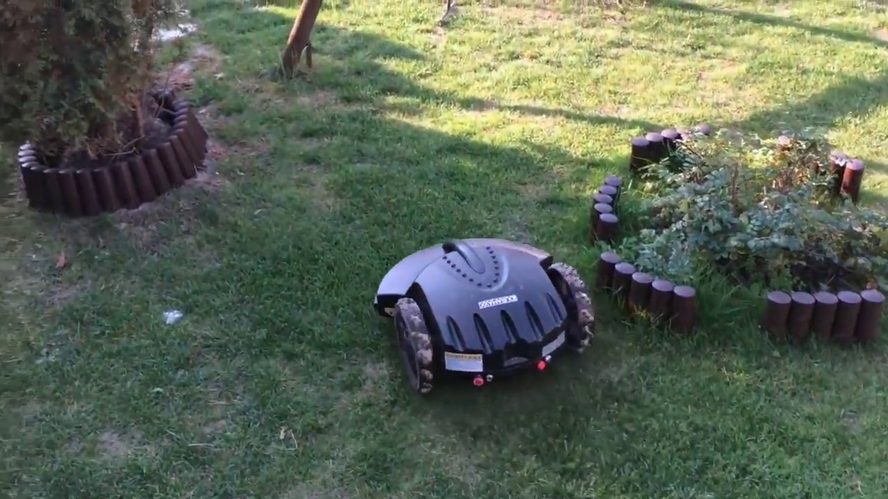 Tani robot koszący.