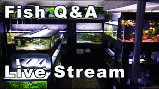 A Fish Q&amp;A Today! Bring All Your Questions!