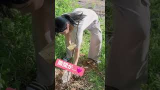 胸元に注目＃shorts