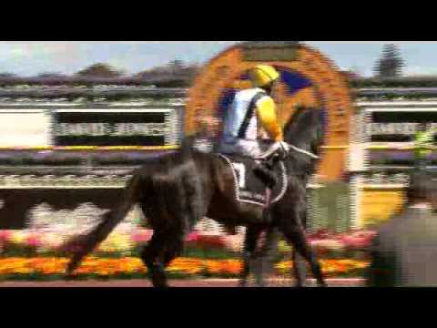 The Age Caulfield Guineas Day Review