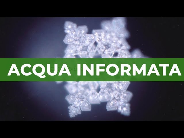 Vídeo relacionado con La memoria dell'acqua (Gl' istrici)