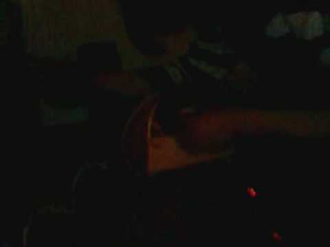 Zebra Mu live