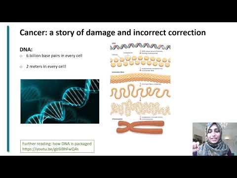 Epigenetics and Cancer Explained in Easy Terms | Oxford scientist explains how to cure cancer