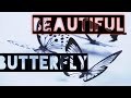 From COLORFUL Caterpillar To BEAUTIFUL Butterfly