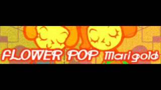 FLOWER POP 「Marigold」