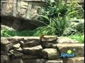 Barney Friends A Fountain Of Fun Season 8 Episode 1
