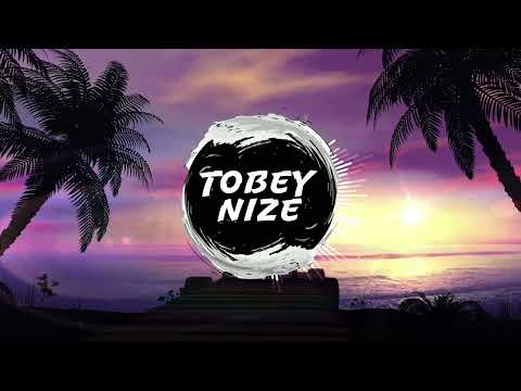 FiNCH x JBS - DAS GEHT VORBEi (TOBEY NIZE REMIX)