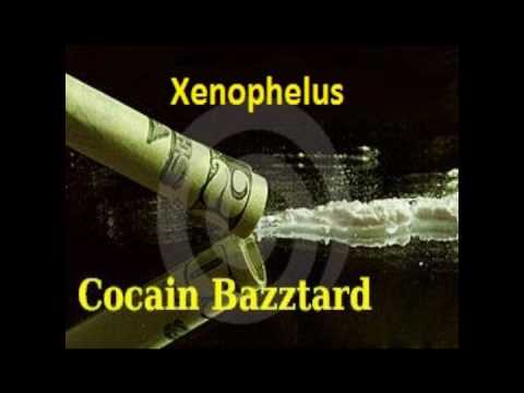 Xenophelus - Cocain Bazztard