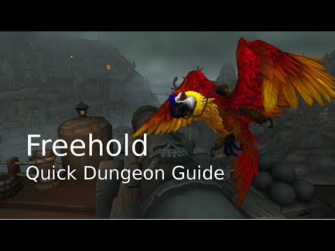 Freehold Quick Dungeon Guide
