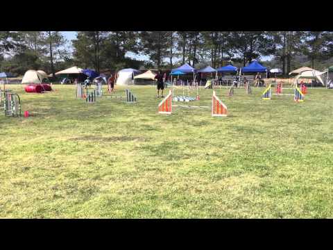 Bev and Pixie - Masters Challenge Jumpers (14") - 2015-04-17