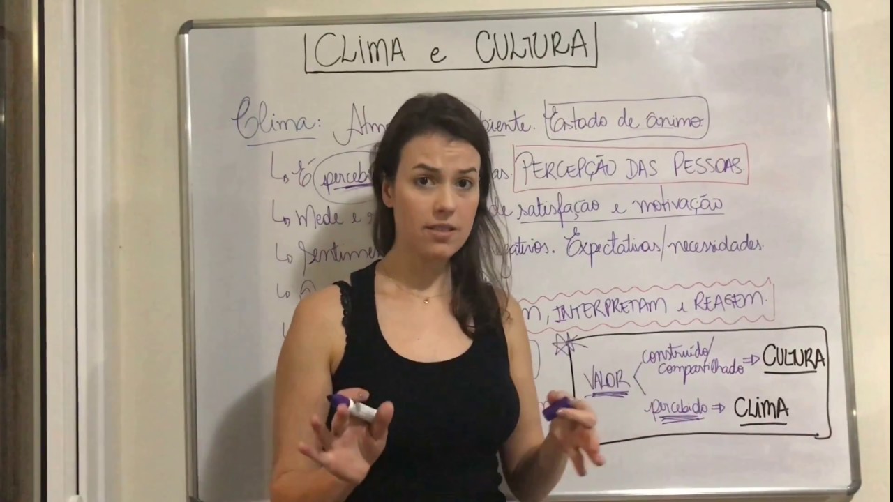 Clima Organizacional. Revisão. Pontos Específicos.