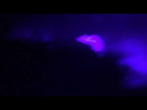 MIF // Music Inside Festival 2K17 LOCODICE