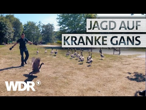 Tierrettung am See | S03/E08 | Feuer & Flamme | WDR