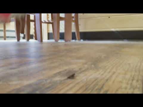 Canterbury floor 312