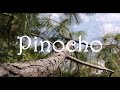 Pinocho De Carlo Collodi Audiolibro Capítulo 32