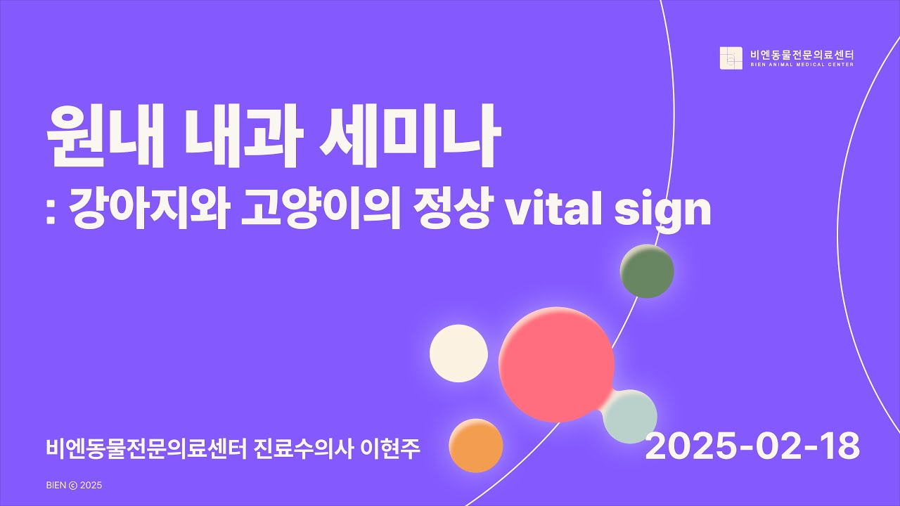 비엔 원내 내과 세미나 : 강아지와 고양이의 정상 Vital sign - 진료수의사 이현주