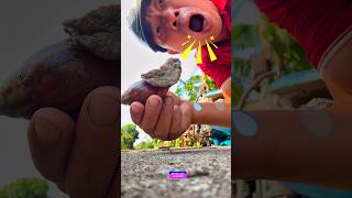 Download lagu I Rescued a Snail Crossing the Road! 🐌❤️ #mrd mp3