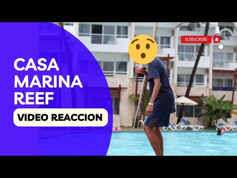 Videos del Casa Marina Beach  Reef 4★ en Sosúa, República DominicanaVer MásVerPrecios19CerrarConsulta por Whatsapp 🇦🇷BookingTripadvisorExpediaAgodaTravelocityOrbitzPricelineTripSkyscannerDespegarKayakHotelesDestiniaTrivagoLastminuteHotwireCheapticketsTuiWotif