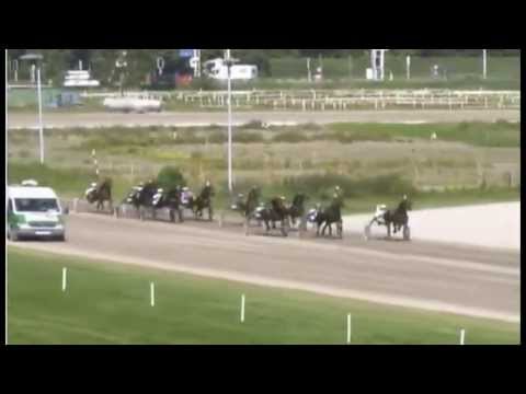 2013 Duindigt's Derby Trial Hengsten & Ruins (Colts & Geldings) - Davy Boko (Hugo Langeweg Jr.)
