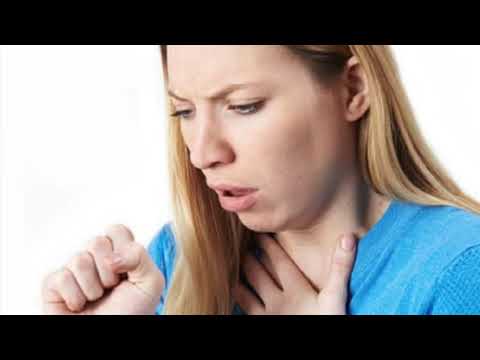 Nxjerr nga fyti dhe mushkëritë gëlbazën e grumbulluar: Ilaçi natyral i cili të bën lehtë të ...