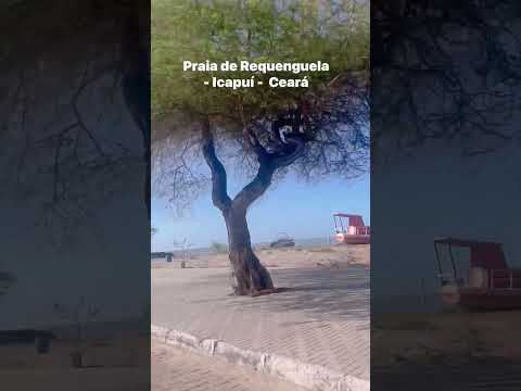 Praia de Requenguela - Icapuí - Ceará