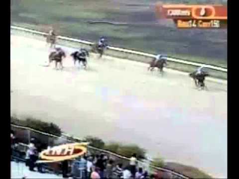 Resumen Viernes, 21 de Marzo de 2014 - Valencia