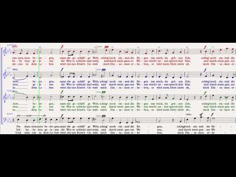 Abschied vom Walde   Tenor